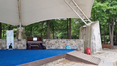 enchanted landscapes